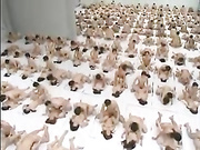 岛国真是奇观啊~日本2000人集体啪